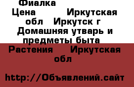 Фиалка Rosie Ruffles › Цена ­ 160 - Иркутская обл., Иркутск г. Домашняя утварь и предметы быта » Растения   . Иркутская обл.